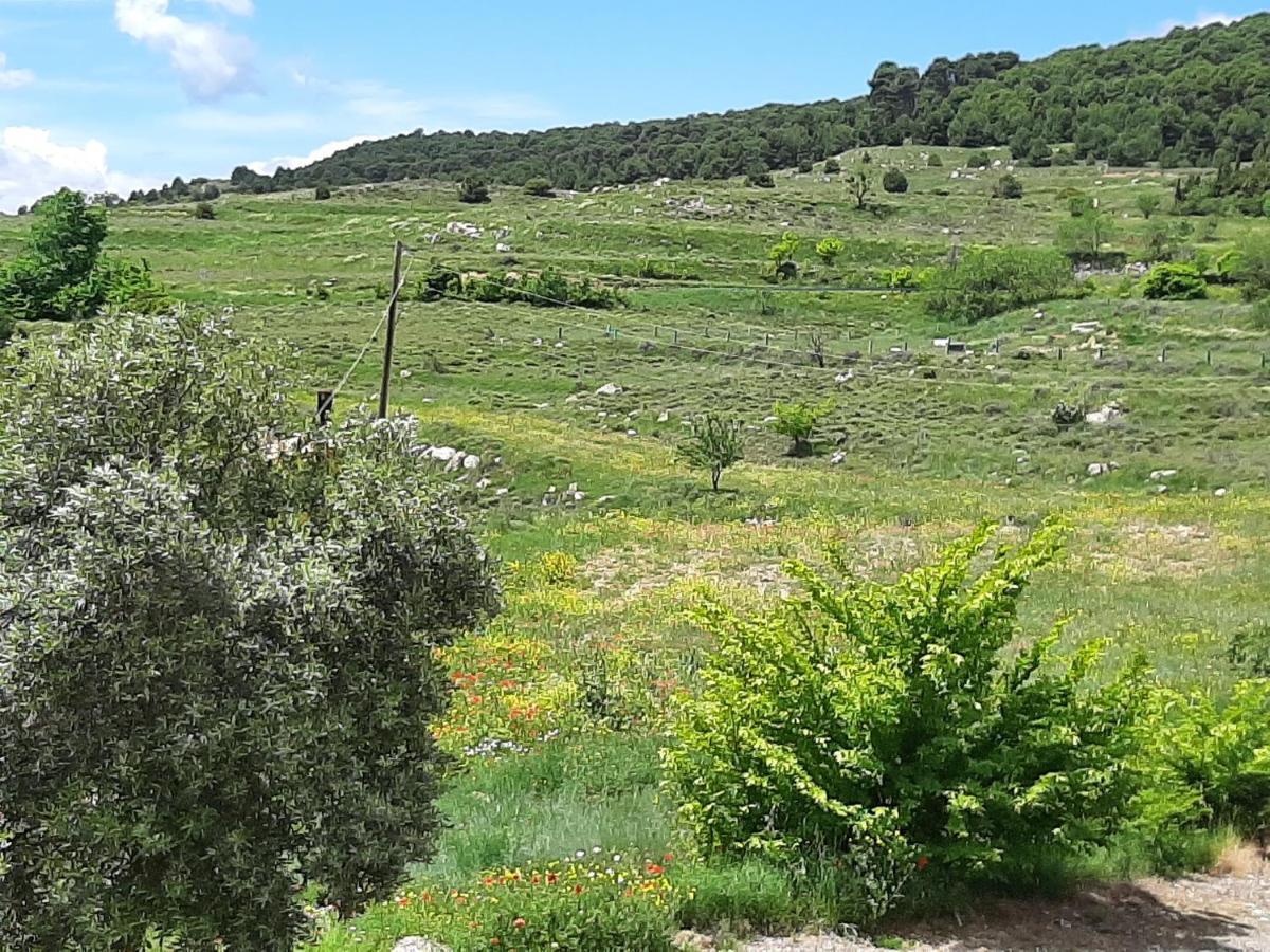 Casa Rural "Eccehomo De Borja" Exterior foto