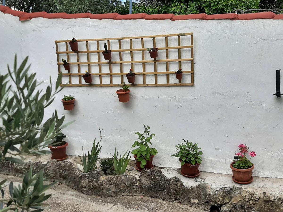 Casa Rural "Eccehomo De Borja" Exterior foto